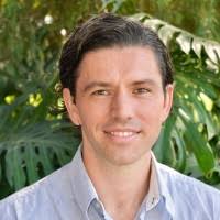 4200+ "Signorelli" profiles