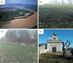 Get information, directions, products, services, phone numbers, and reviews on harbor stone construction company in oxford, undefined discover more heavy construction, nec companies in oxford on manta.com A Medieval Hillfort As An Island Of Extraordinary Fertile Archaeological Dark Earth Soil In The Czech Republic Asare 2021 European Journal Of Soil Science Wiley Online Library