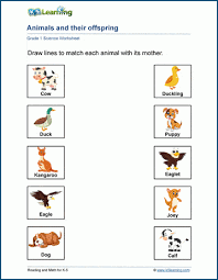 To be ready for kindergarten, your child needs to know how to cut and paste, copy. Animals And Their Offspring Worksheet K5 Learning