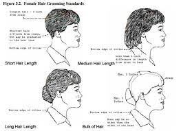 Air Force Hair Regulations For Females Rose Colored Water Womens Hairstyles Cap Hair Air Force