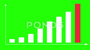 2d Bar Chart Infographics Green Screen With Red Stock