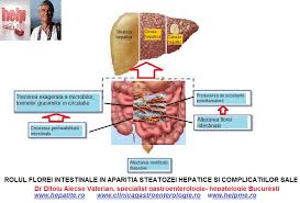 Despre colon modificare modificare sursă  colonul are rolul de cancer de colon tratamiento stoca și îndepărtă acele resturi pe care organismul nu le poate digera. Dureri Articulare Cancer De Intestin Ce Este Sindromul De Colon Iritabil
