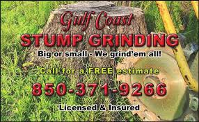 Arrest made in Pine Ridge arson fire