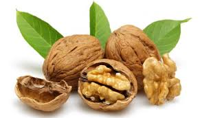 Check spelling or type a new query. Walnut Tree Treatments Most Common Diseases And Pests Of This Fruit Tree Nexles