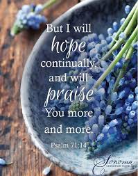 But I Will Hope Continually And Will Praise You More And More Psalm 71 14 Psalms Psalm 71 Bible Scriptures