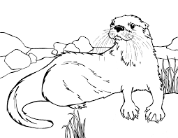 You might also be interested in coloring pages from otters category and baby animals tag. Otter Coloring Pages Best Coloring Pages For Kids