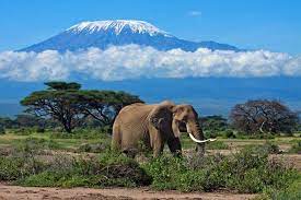 Skip to content (press enter). 15 Top Rated Tourist Attractions In Tanzania Planetware