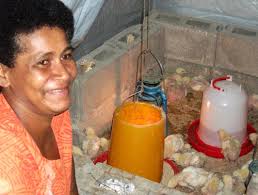 Croz Walsh's Fiji Backup Blog