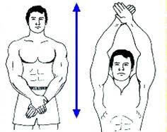 36 Best Charles Atlas Dynamic Tension Images Exercise Workout