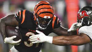 The cincinnati bengals are a professional american football franchise based in cincinnati. Bengals Beat Buccaneers 19 14 In Pre Season Win