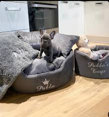 4.5 out of 5 stars. Luxury Personalised Dog Bed Set With Fleece Blanket Soft Toy Box Unique Dog Beds