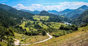 Image result for Tara