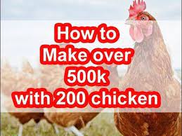 How To Make Over 500k With Just 200 Kienyeji Chicken How Much Does A Poultry Farmer Make In Kenya Youtube Poultry Poultry Farm Chicken Farm