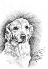 Kopek Figuru Google Da Ara Cizim Drawing Hayvan