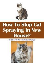 9 Well Cool Tips Stop Cats From Spraying Door Spray To Keep Cats Off Furniture Bitter Spray For Cats What To Do When Your Cat Sprays Spray To Keep Cat Admirable