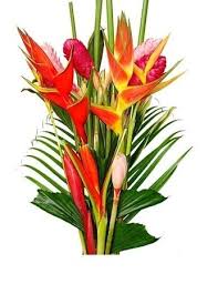 Flowers from a wholesale florist will add a tropical feel to your decoration with a unique touch of luxurious drama to your decoration. Fresh Tropical Flowers Amazon Flowers Proms Weddings