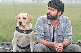 Life of dharma from 777 charlie gets ready! Rakshit Shetty 777 Charlie Team Enter Last Phase Of Shooting In Kashmir The New Indian Express