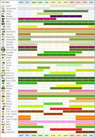 Calendar Legumes Damen Und Mode Vegetable Seasoning Food Infographic Nutrition