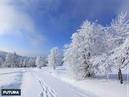 Maybe you would like to learn more about one of these? Hiver Eifasr