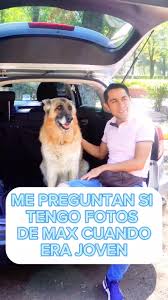 Historia de Max, el Pastor Alemán Rescatado