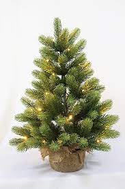 Small Real Christmas Tree Buy Holiday Stuff Small Christmas Tree Real Feel Aritificial Little Tabletop Christmas Tree Prelit Pe 60cm Online At Low Prices In India Amazon In