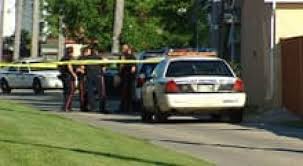 Teen who died after Taser blast had knife: police