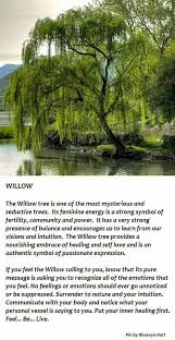 Spirituality Willow Tree Tattoos Weeping Willow Tree Weeping Willow