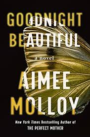 Goodnight Beautiful By Aimee Molloy These are very dangerous waters you are trying to navigate. goodnight beautiful by aimee molloy