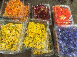 The flowers are just beautiful. íŠ¸ìœ„í„°ì˜ Michal Berman ë‹˜ Anyone Going From Guelph Area To To Tomorrow That Can Take These Edible Flowers With Them For A Delivery To Shangrila Farmlife Https T Co L12jlrofas