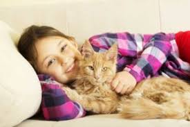 What defines a good vet? About Veterinary Services In Ft Wayne In In Fort Wayne In Veterinary Services