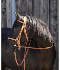 Pin Auf Horses