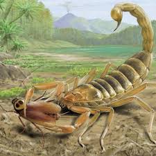125 million-year-old fossil of giant venomous scorpion that lived alongside  dinosaurs discovered in China | Live Science