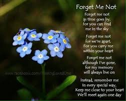 If you've experienced the death of a loved one, you know firsthand the deprivation, the constant pain and sense of loss, the feeling that your own life has become somehow smaller because someone my daughter and i planted a garden together in her honor, choosing the flowers she loved the most. Pin By Mrs Mcaleavey On Outlander Memes And Quotes Forget Me Not Flower Poem Flower Quotes