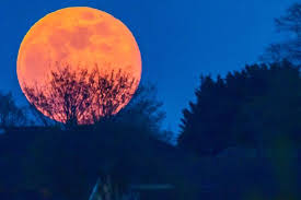 No, the pink moon will not be turning pink this month (image: Supermoons 2021 Latest When To See The Pink Moon And Flower Moon And Met Office Forecast Bristol Live