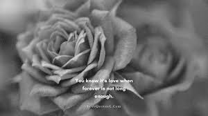 Never ask why i love you, just accept that i do, and that i will for the rest of my life. 199 Latest Forever Love Quotes Short Forever Quotes