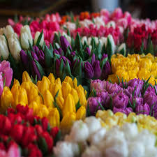 You can see how to get to glendale flower & gift shop on our website. Best Flower Shop And Experienced Florist In Glendale Ca