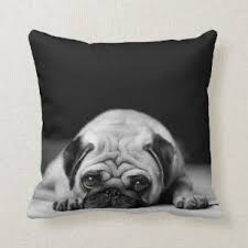 Flat/rm 1402b 14/f, the belgian bank building. Dog Decorative Throw Cushions Zazzle Au