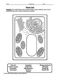 Animal cell coloring pages animal cell diagram quiz. Plant And Animal Cell Labeling Diagrams By A Thom Ic Science Tpt