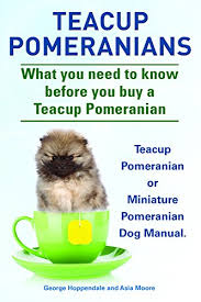 Read our pomeranian buying advice page for information on this dog breed. Teacup Pomeranians Teacup Pomeranian Or Miniature Pomeranian Dog Manual What You Need To Know Before You Buy A Teacup Pomeranian Kindle Edition By Hoppendale George Moore Asia Crafts Hobbies Home