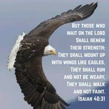 Check spelling or type a new query. Tara Hay Dusanek On Twitter But Those Who Wait On The Lord Shall Renew Their Strength They Shall Mount Up With Wings Like Eagles They Shall Run And Not Be Weary They Shall