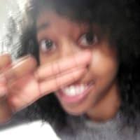 I Love Animals by Flora McDonnell