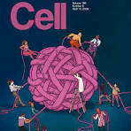 Best scientific journal covers from 2023