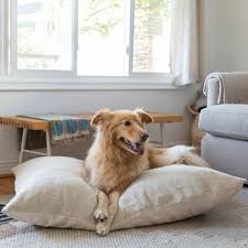 She added a photo of one of her dog's favorite toys to the headboard and added a cute red mattress. The Best Looking Dog Beds For Your Furry Best Friend Architectural Digest
