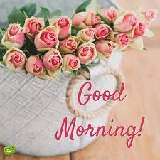 Share a beautiful good morning wishes to your loved one and make the day special for them! 60 Good Morning Images With Pretty Flowers Updated 2019