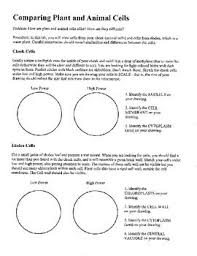Check spelling or type a new query. Compare Plant And Animal Cells Lab Manual Animal Cell Plant And Animal Cells Plant Science