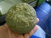 Hasil carian imej untuk doi mana boleh didapati geliga landak