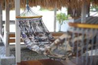 Lavigo resort is located in langkawi. Lavigo Resort Pantai Cenang Updated 2021 Prices