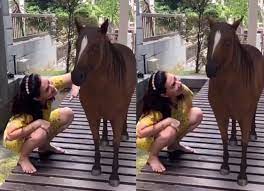 Menerusi instagram mas idayu beberapa minggu lalu, penyanyi serba boleh ini menulis allahyarham pak ngah sentiasa dekat di hati dan pasti merindui gelak tawa allahyarham. Video Netizen Beri Respon Bila Mas Idayu Ajak Kuda Masuk Rumah Rupa Rupanya Media Hiburan