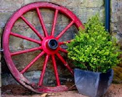 They require little to no pruning and provide four seasons of beauty to the landscape. Midwest Gardening Best Evergreens For Containers