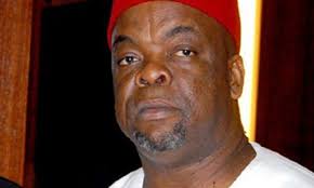 President Tinubu Replaces Chairman-Nominee, 3 Directors Of South East  Development Commission